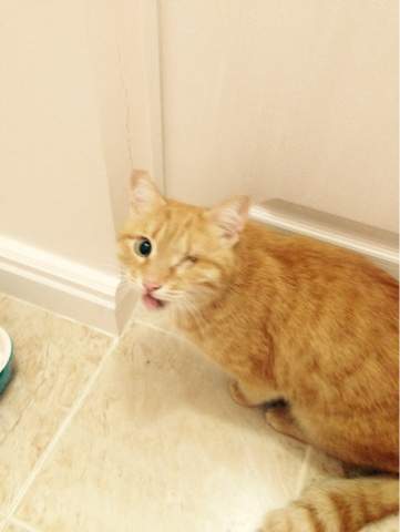 361 x 480 361 x 480 360 x 480 360 x 480 !   !   , ,    ! 