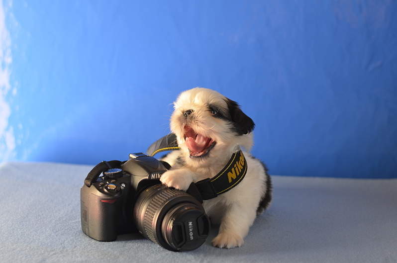 1920 X 1271 936.5 Kb 1920 X 1271 969.5 Kb  -