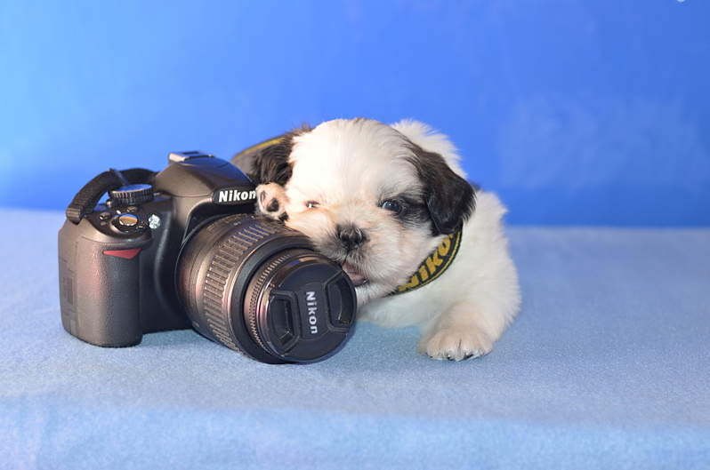 1920 X 1271 169.0 Kb 1920 X 1271 936.5 Kb 1920 X 1271 969.5 Kb  -