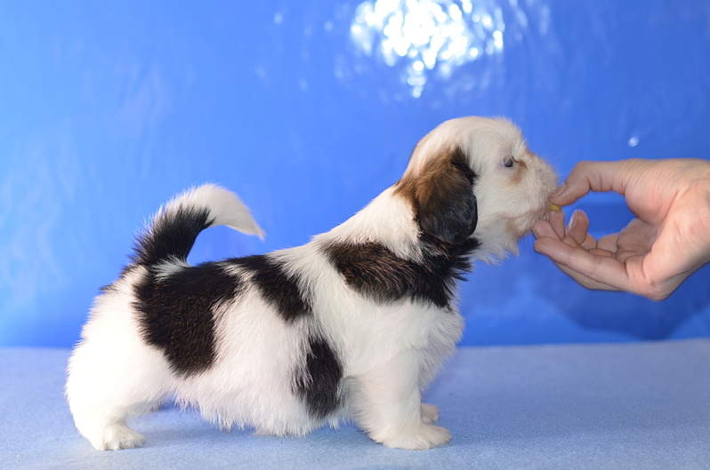 1920 X 1271 175.9 Kb 1920 X 1271 169.0 Kb 1920 X 1271 936.5 Kb 1920 X 1271 969.5 Kb  -