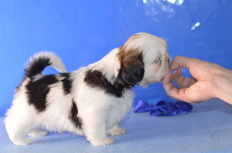 1920 X 1271 171.7 Kb 1920 X 1271 175.9 Kb 1920 X 1271 169.0 Kb 1920 X 1271 936.5 Kb 1920 X 1271 969.5 Kb  -