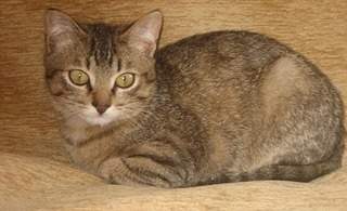 896 X 546 131.7 Kb 745 X 499 109.3 Kb     .