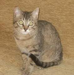 662 X 672 123.9 Kb 896 X 546 131.7 Kb 745 X 499 109.3 Kb     .