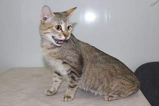 604 X 403 37.9 Kb    - 8     .  .