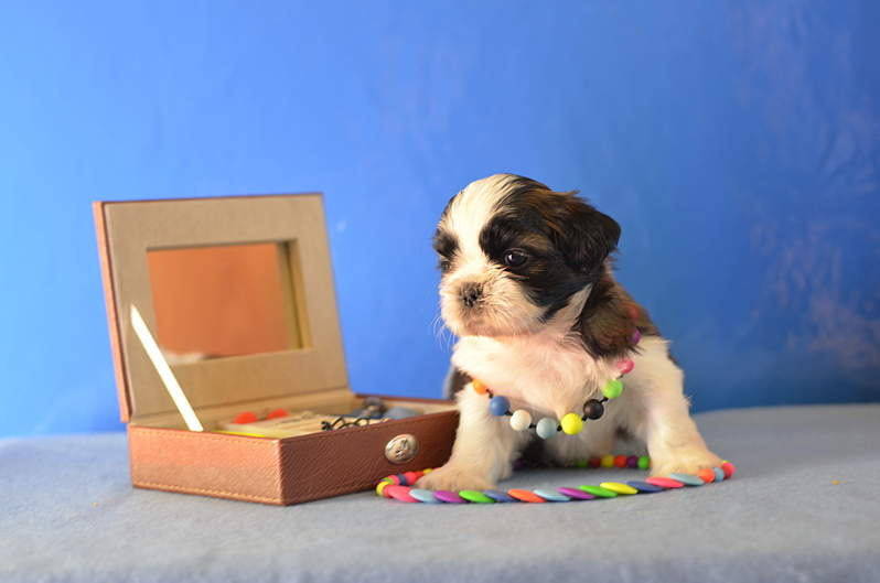 1920 X 1271 901.5 Kb  -