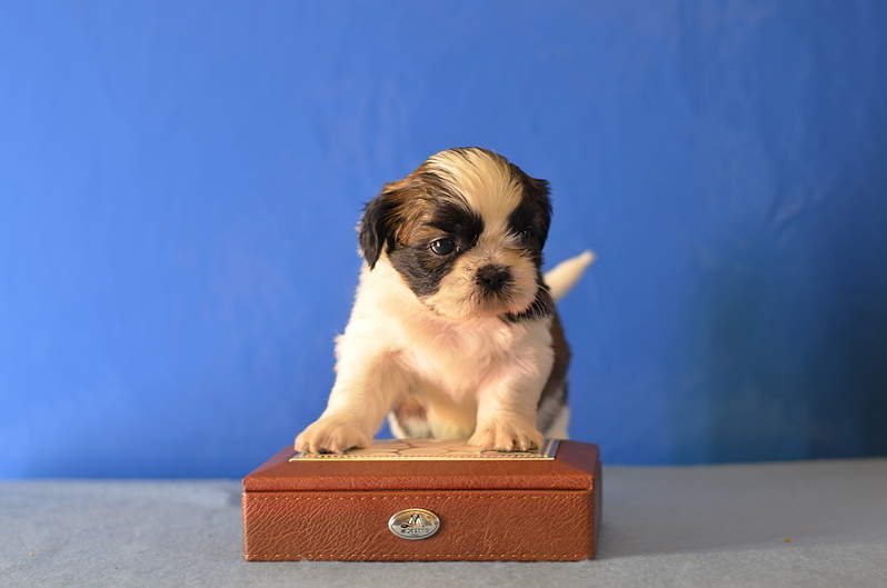 1920 X 1271 963.2 Kb 1920 X 1271 901.5 Kb  -