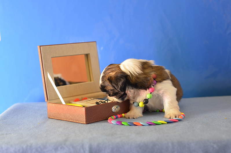 1920 X 1271 984.5 Kb 1920 X 1271 963.2 Kb 1920 X 1271 901.5 Kb  -