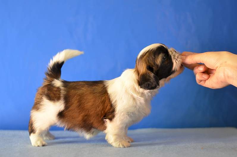 1920 X 1267 680.7 Kb 1920 X 1387 792.6 Kb 1920 X 1271 984.5 Kb 1920 X 1271 963.2 Kb 1920 X 1271 901.5 Kb  -