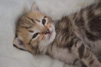 1920 X 1280 293.4 Kb 1436 X 2048 322.2 Kb 1920 X 1967 415.1 Kb 1920 X 1798 382.7 Kb      