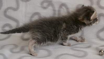 1920 X 1097 250.0 Kb      