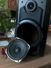 1536 X 2048 338.7 Kb  