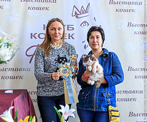 640 X 531 351.4 Kb 531 X 640 282.8 Kb 640 X 427 265.2 Kb 640 X 427 278.0 Kb 640 X 640 314.2 Kb Длинношерстные бриташки и компания! У нас есть котята!