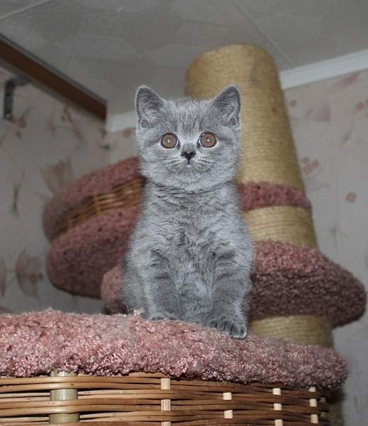 587 X 680 178.6 Kb 645 X 674 181.2 Kb 696 X 680 207.6 Kb 738 x 593 