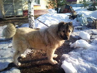 1920 X 1440 525.7 Kb      .