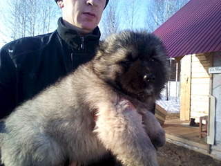 1920 X 1440 578.9 Kb 1920 X 1440 525.7 Kb      .