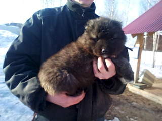 1920 X 1440 399.6 Kb 1920 X 1440 578.9 Kb 1920 X 1440 525.7 Kb      .