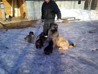 1920 X 1440 445.5 Kb 1920 X 1440 383.5 Kb      .