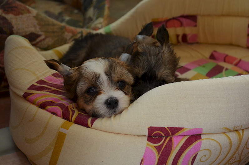 1920 X 1271 525.5 Kb   )   