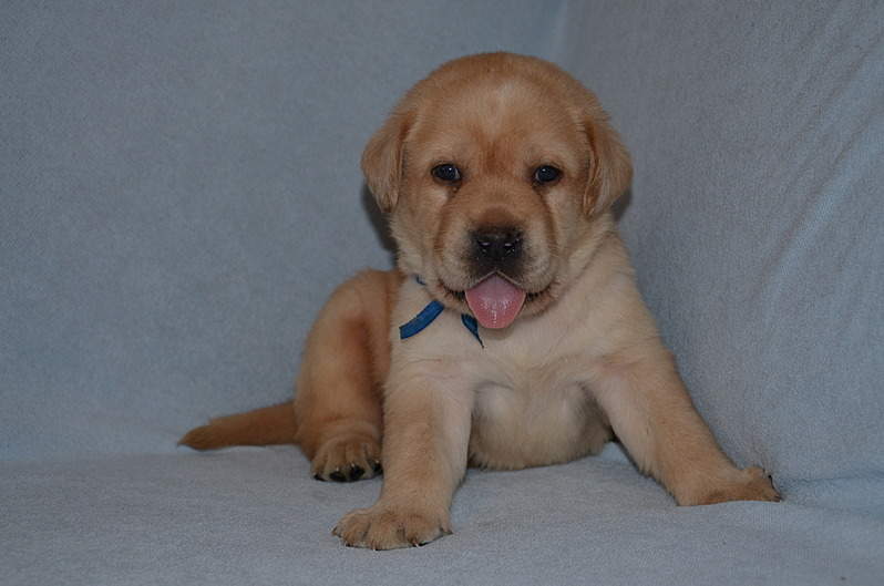 1920 X 1271 481.1 Kb 1920 X 1271 456.3 Kb   