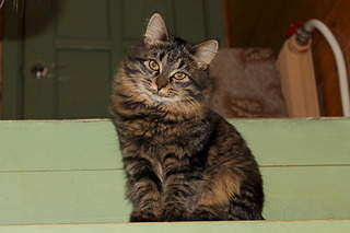 1920 X 1280 450.2 Kb     