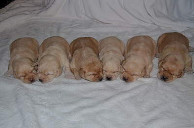 1920 X 1271 413.5 Kb   