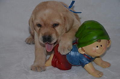 1920 X 1271 399.4 Kb 1920 X 1271 413.5 Kb   