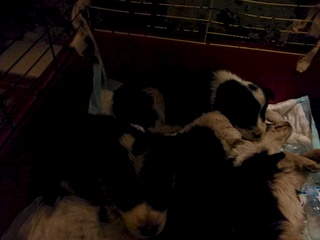 1920 X 1440 524.3 Kb ������ ���� ����������� ��� ������, ��������� ���������