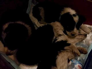 1920 X 1440 527.9 Kb 1920 X 1440 524.3 Kb ������ ���� ����������� ��� ������, ��������� ���������