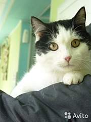 360 X 480  33.9 Kb        !