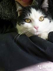 360 X 480  33.3 Kb 360 X 480  33.9 Kb        !