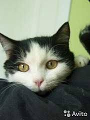 360 X 480  25.6 Kb 360 X 480  33.3 Kb 360 X 480  33.9 Kb        !