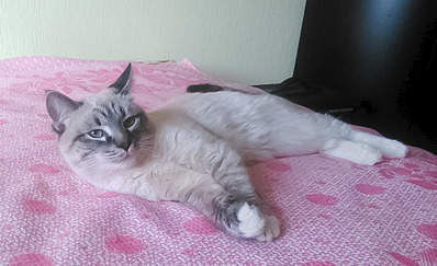 1920 X 1170 466.3 Kb 1778 X 2000 347.3 Kb    .  ?     .