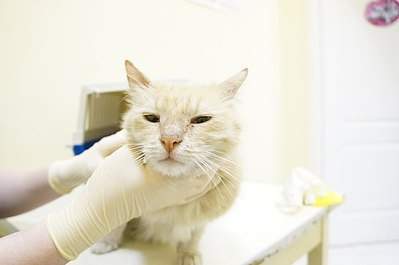 604 X 401 21.5 Kb  ...   !   .