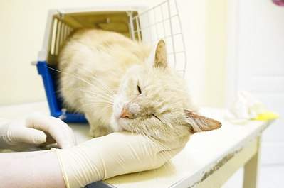 604 X 401 30.8 Kb 604 X 401 29.0 Kb 604 X 401 26.2 Kb 604 X 401 21.5 Kb  ...   !   .