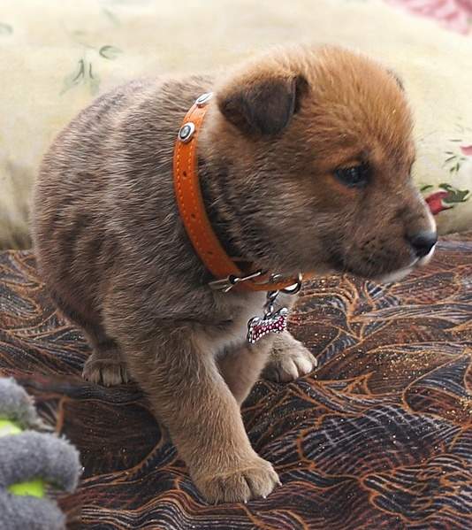 714 X 801 213.7 Kb 517 X 762 143.9 Kb 559 X 823 181.8 Kb    ,    