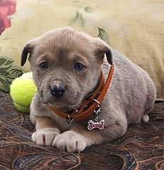 627 X 649 159.2 Kb 714 X 801 213.7 Kb 517 X 762 143.9 Kb 559 X 823 181.8 Kb    ,    