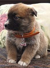 508 X 697 150.9 Kb 517 X 762 143.9 Kb 559 X 823 181.8 Kb    ,    