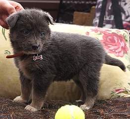 856 X 782 235.9 Kb    ,    