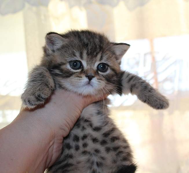 744 X 683 166.3 Kb  .   - !