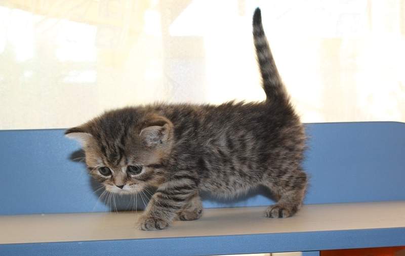 885 X 560 154.1 Kb 744 X 683 166.3 Kb  .   - !