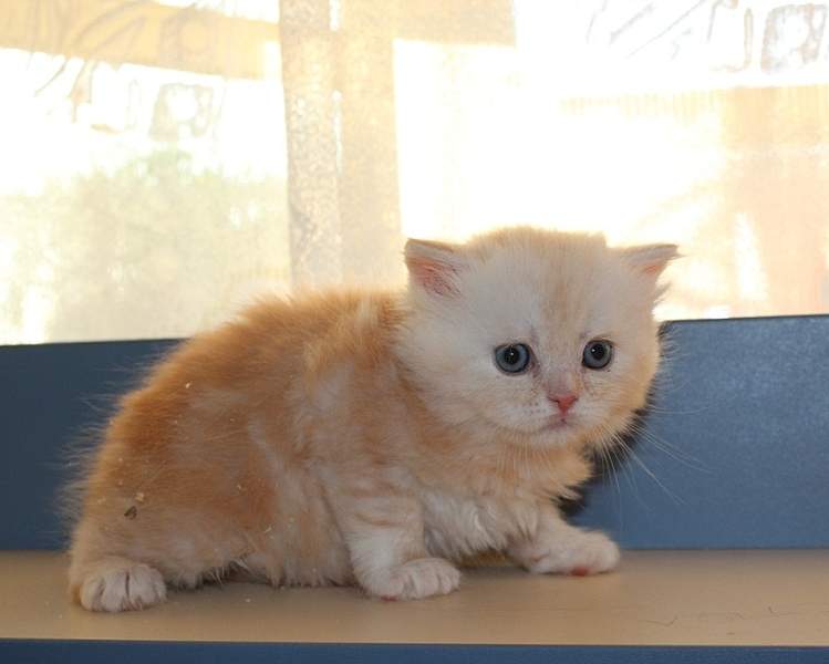 768 X 615 144.7 Kb  .   - !