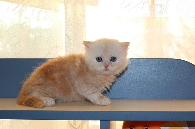 875 X 580 185.1 Kb 768 X 615 144.7 Kb  .   - !