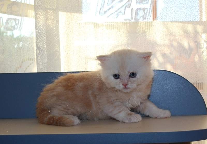 840 X 586 190.0 Kb 875 X 580 185.1 Kb 768 X 615 144.7 Kb  .   - !