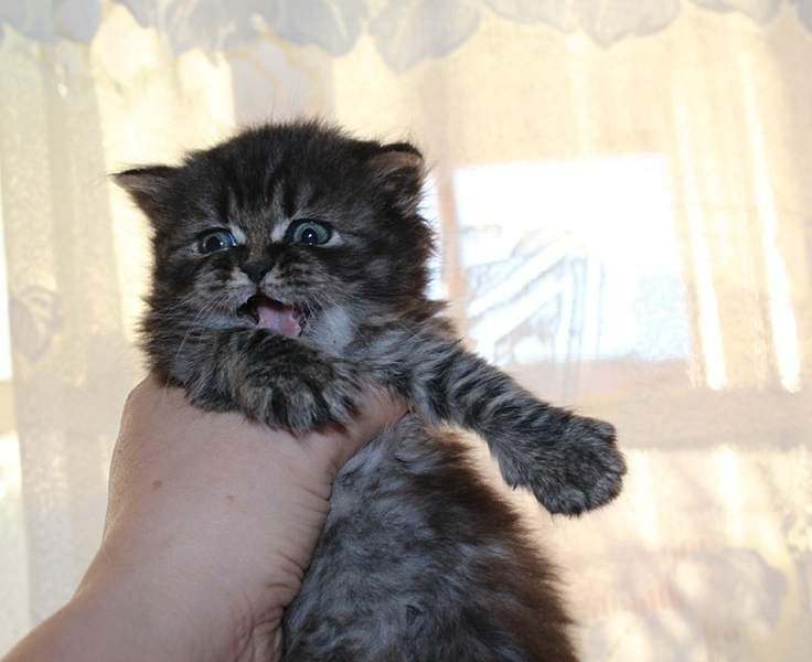 828 X 675 193.0 Kb  .   - !