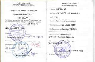 1264 X 823 89.3 Kb 'КУПЛЯ - ПРОДАЖА ОХОТНИЧЬИХ СОБАК'