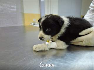 320 x 240 ������ ���� ����������� ��� ������, ��� ����� ����� ������ � ����