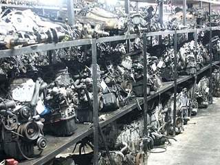 600 X 450  63.4 Kb 1920 X 1080 720.8 Kb    (), (, ),  (2126, 17) . .