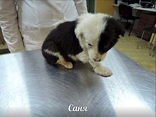 807 X 605 88.0 Kb 320 x 240 320 x 240 ������ ���� ����������� ��� ������, ��� ����� ����� ������ � ����