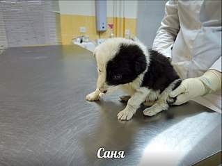 807 X 605 73.1 Kb 807 X 605 59.5 Kb ������ ���� ����������� ��� ������, ��� ����� ����� ������ � ����