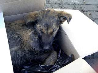 807 X 605  87.4 Kb 605 X 807 192.6 Kb   SOS,    ,  